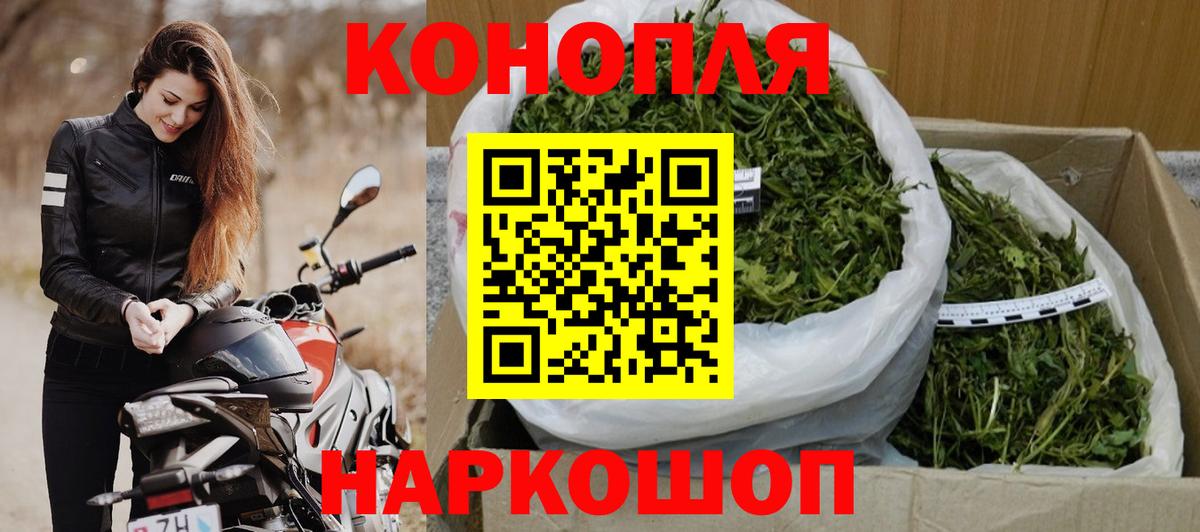 Конопля сатива Дятьково